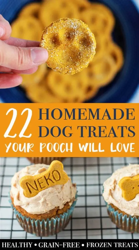 homemade dog treat recipes including grain-free treats, frozen treats, and more
