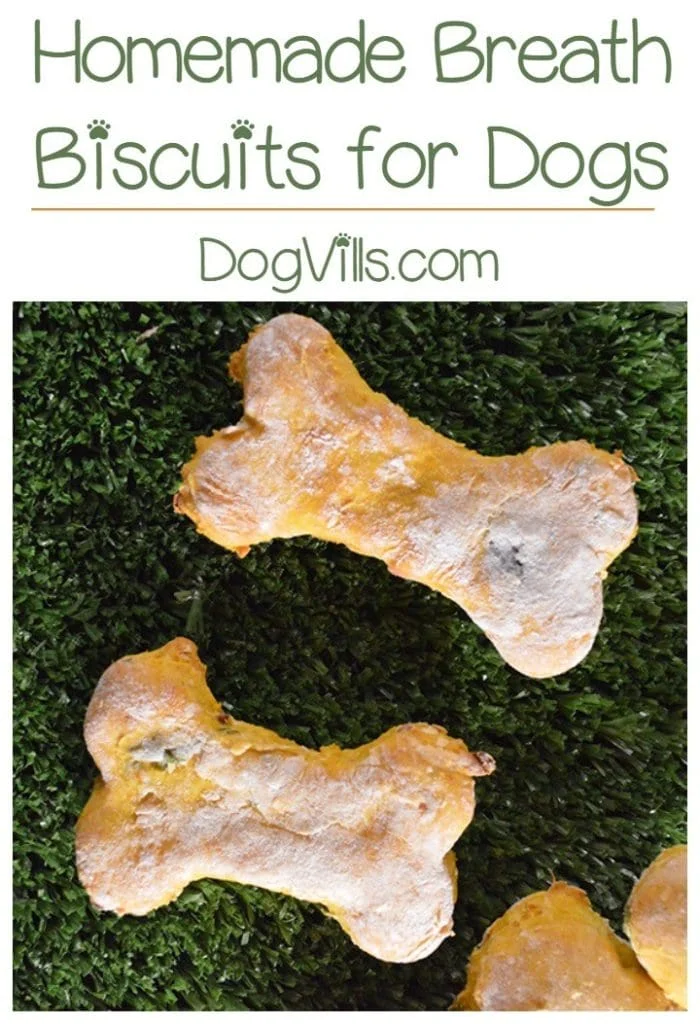 diy dog treats to help bad breath