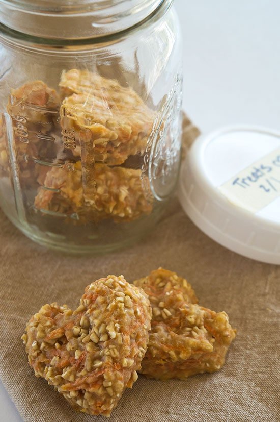 carrot oat applesauce healthy dog treats