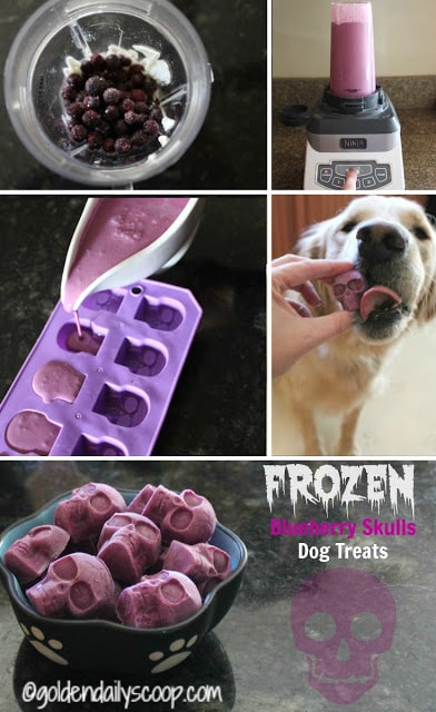 frozen blueberry dog treat recipe