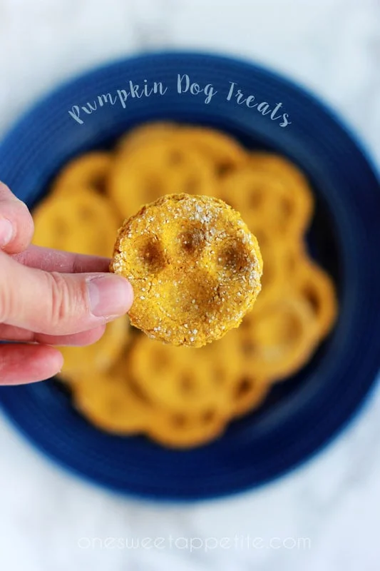 pumpkin dog treat recipe
