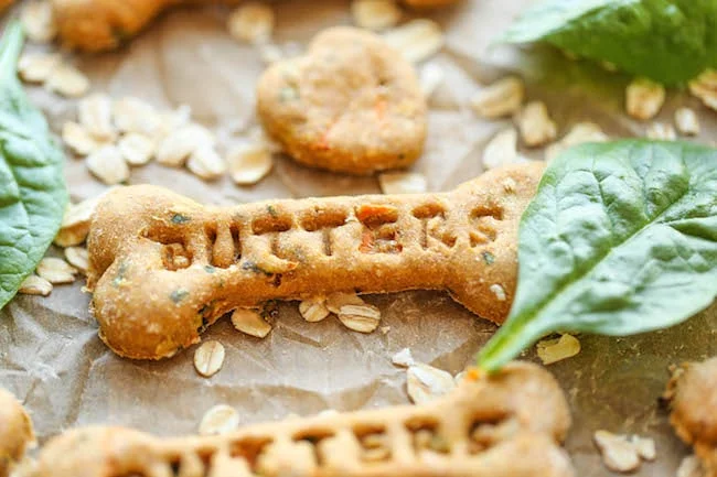 spinach carrot zucchini dog treat recipe