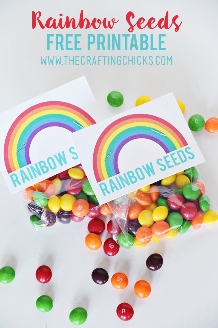 Rainbow Party Ideas: DIY rainbow party favor rainbow seeds with Skittles