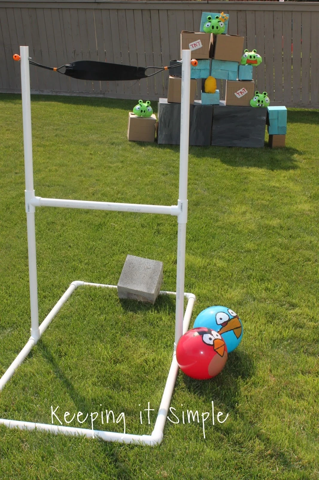 DIY Backyard Slingshot and Angry Birds Game