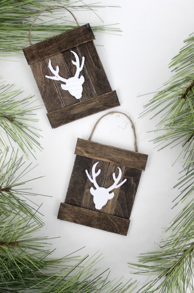Make these rustic ornament signs with popsicle sticks! Check out the rest of the popsicle stick ornaments for some great ideas.