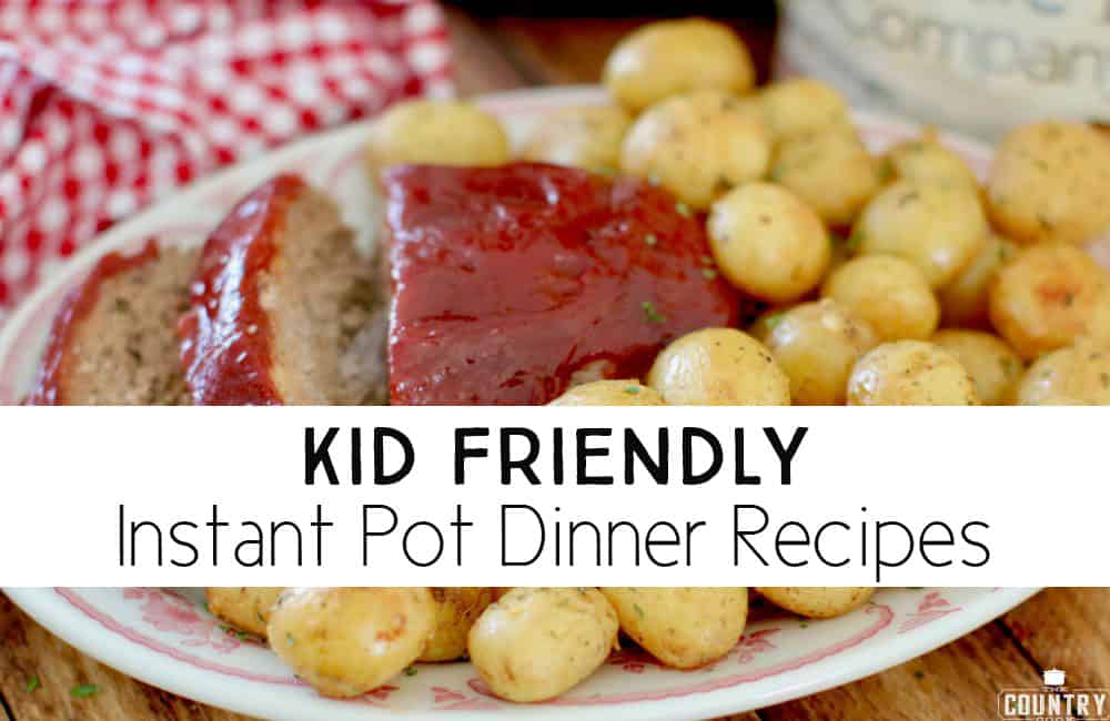 25 Kid Friendly Instant Pot Dinner Recipes - Fun Loving Families
