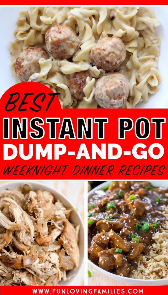 best instant pot dump and go dinner recipes