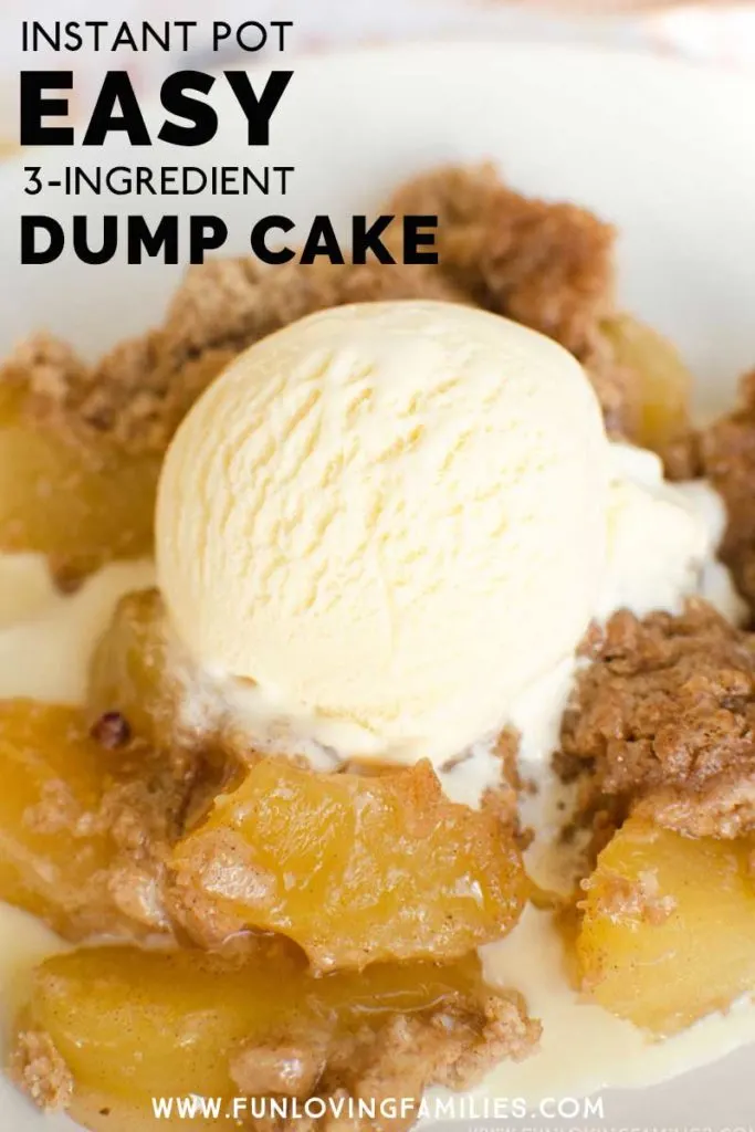 apple dump cake with ice cream topping