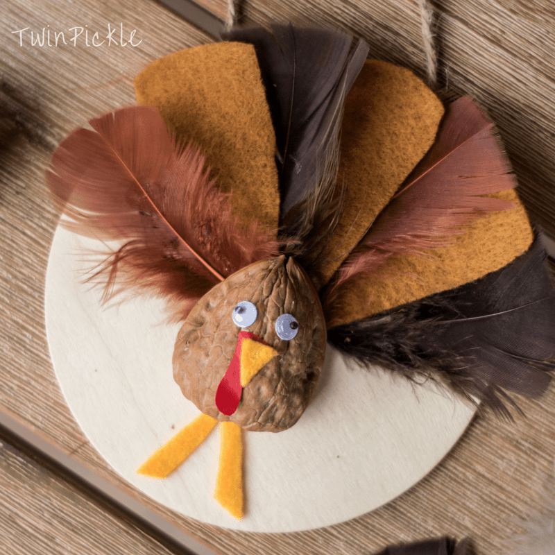 cute walnut turkey craft from Twin Pickle