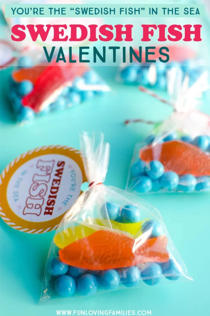 DIY cute fish classroom valentines
