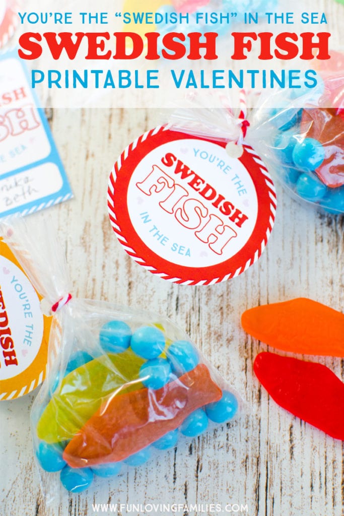 Swedish Fish DIY kids valentines