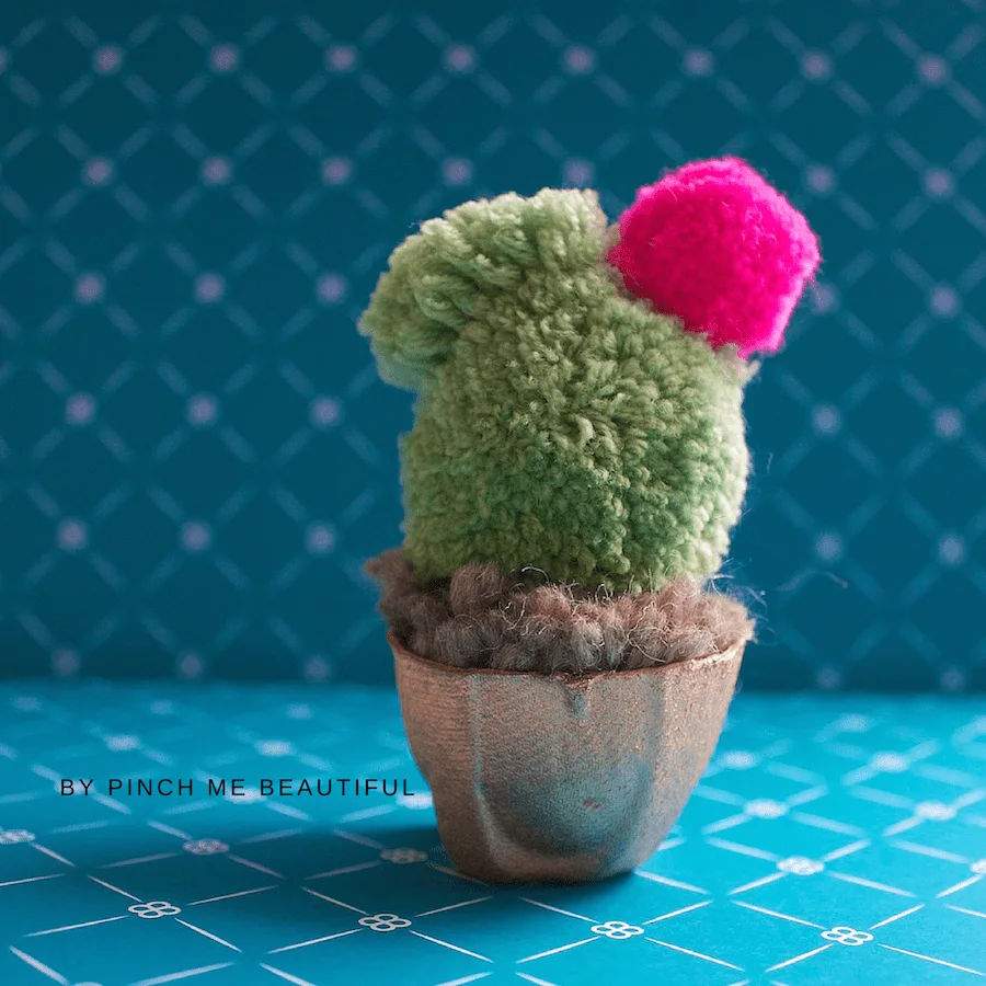 pom pom cactus
