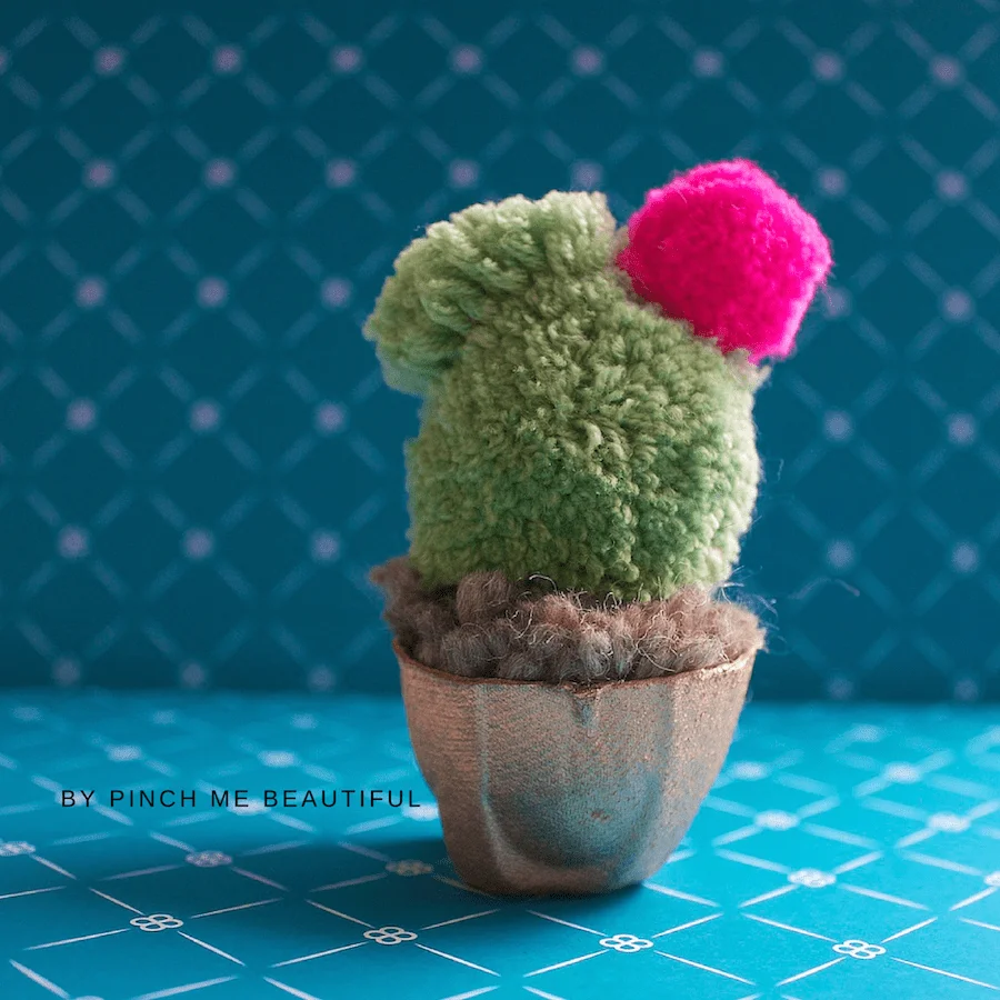 pom pom cactus