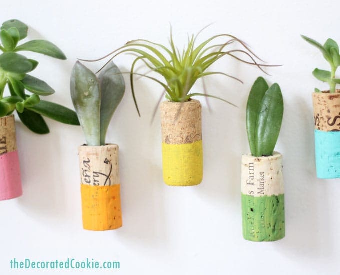 Miniature Plant Holders