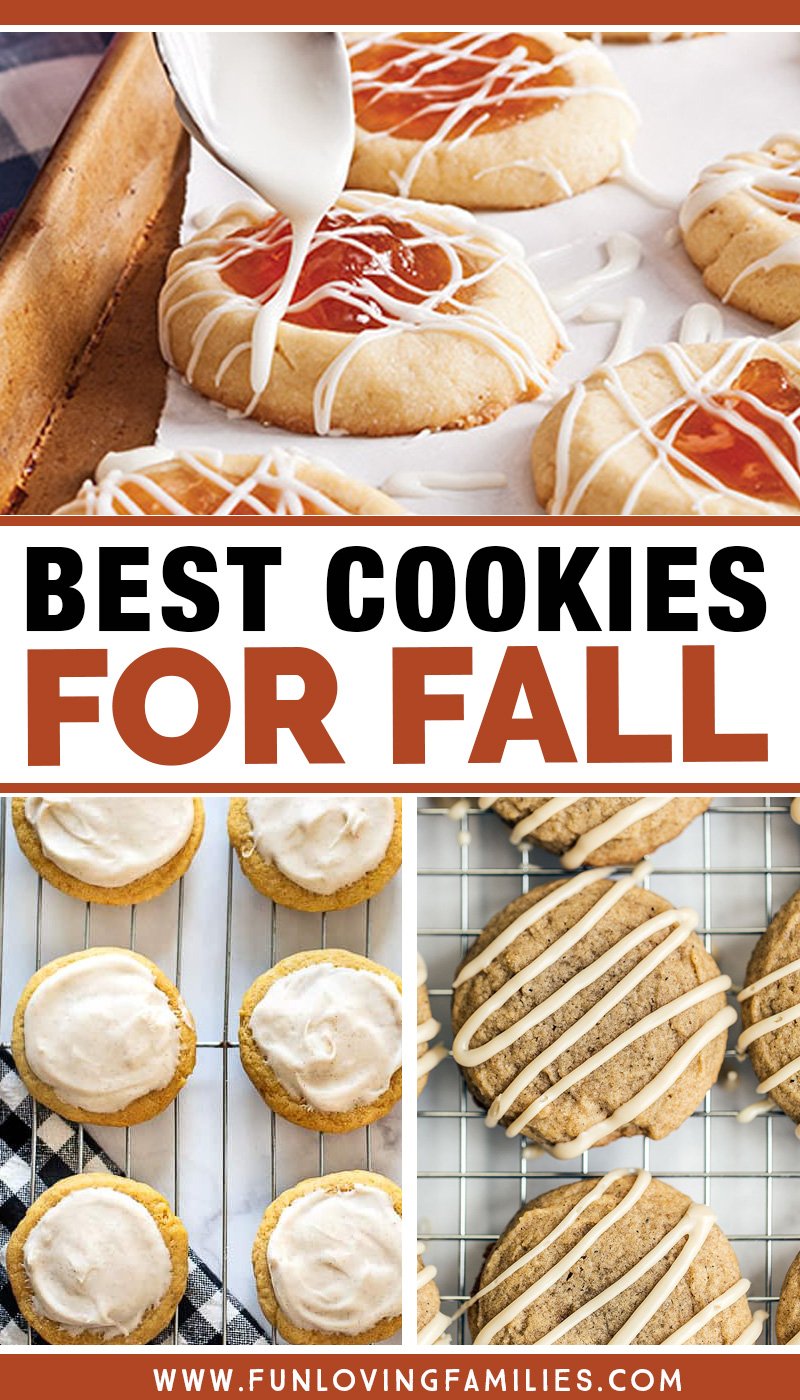 Best cookies for Fall