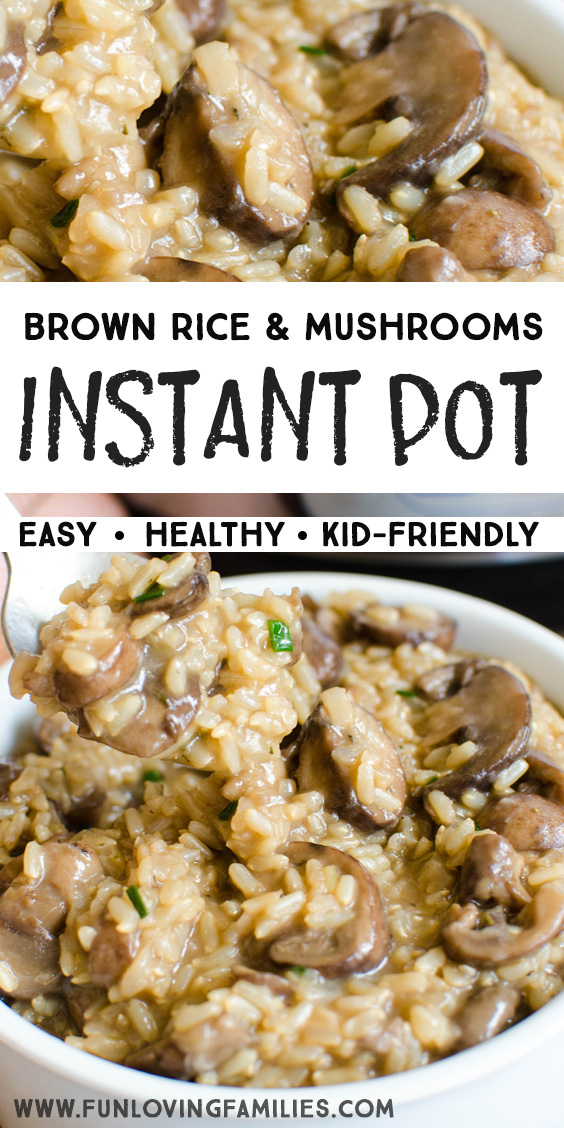 Easy instant pot brown rice recipe