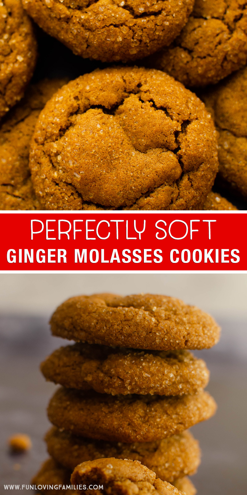 ginger molasses cookie recipe