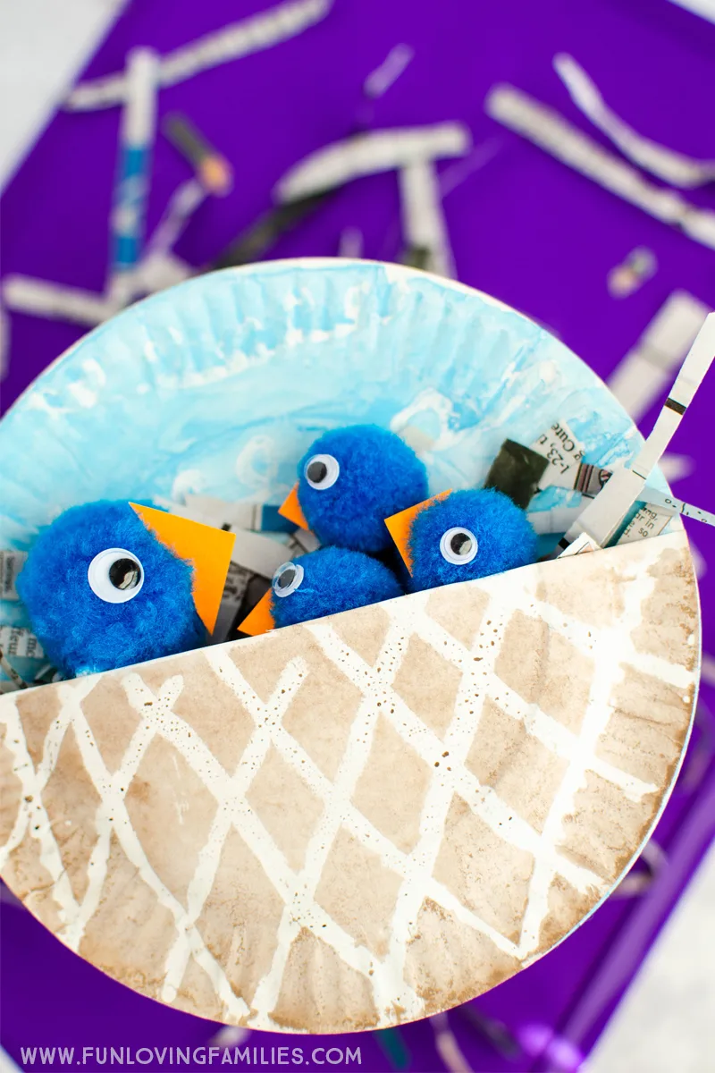 pom pom bluebirds and paper plate nest kids craft