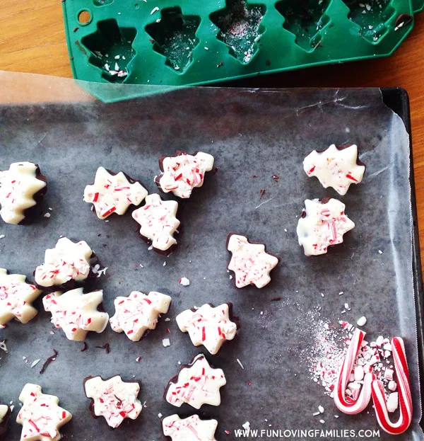 peppermint bark with tree shaped silicon mold