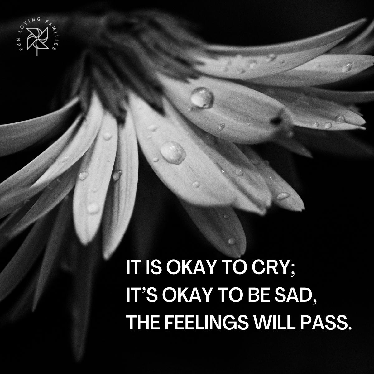 It is okay to cry; it’s okay to be sad, the feelings will pass affirmation