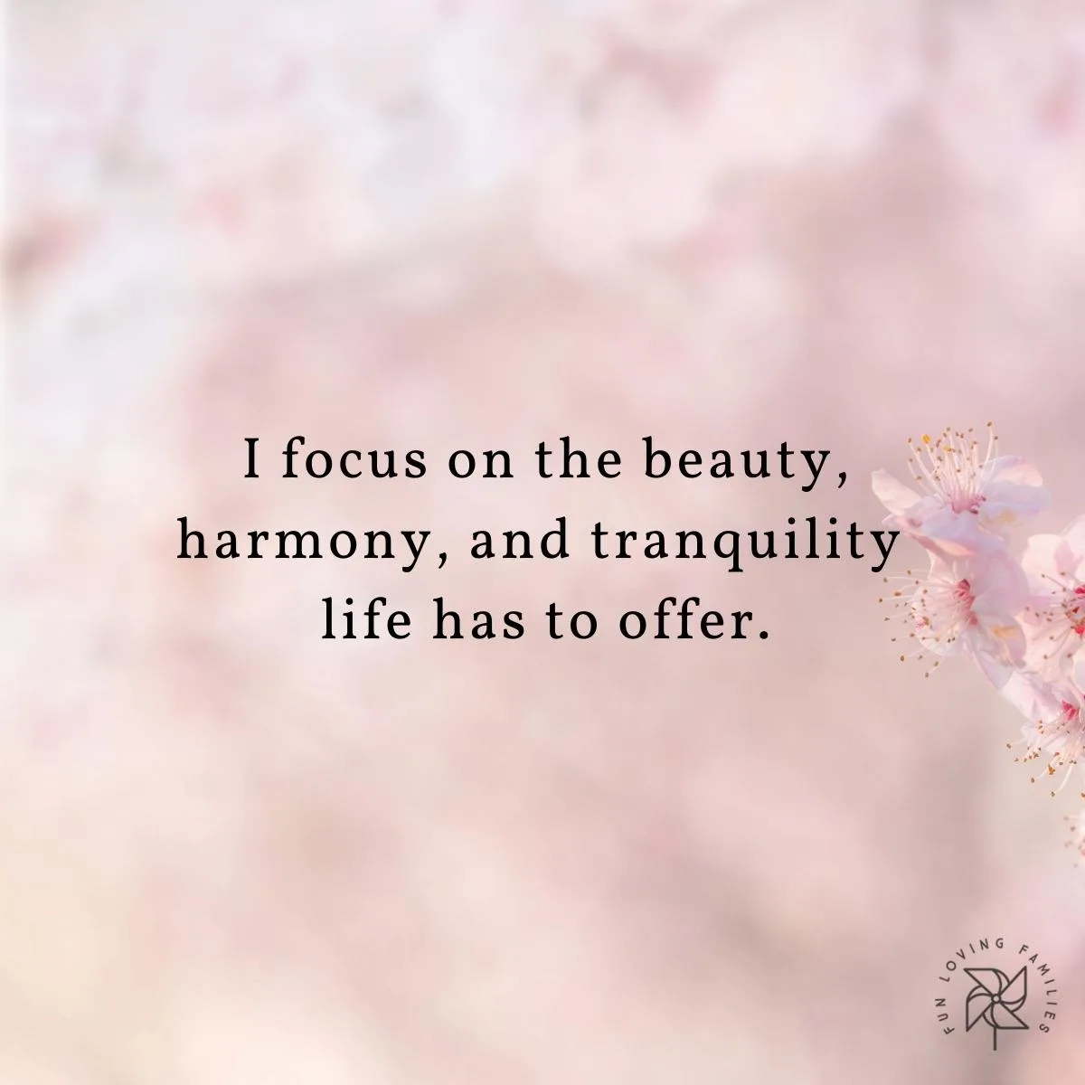 I focus on the beauty, harmony, and tranquility life has to offer affirmation