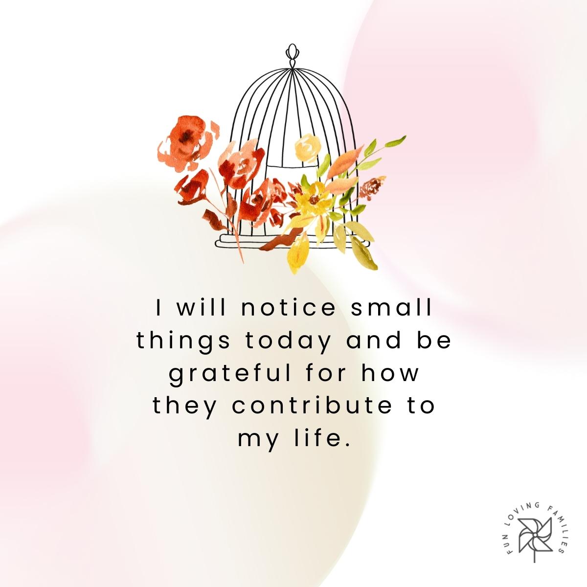 I will notice small things today and be grateful for how they contribute to my life affirmation