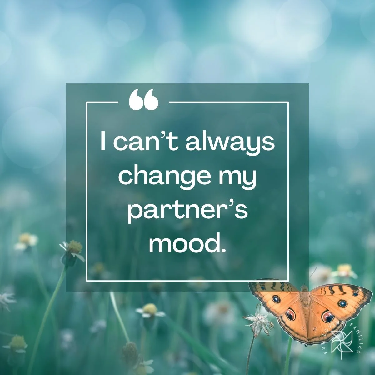 I can’t always change my partner’s mood affirmation