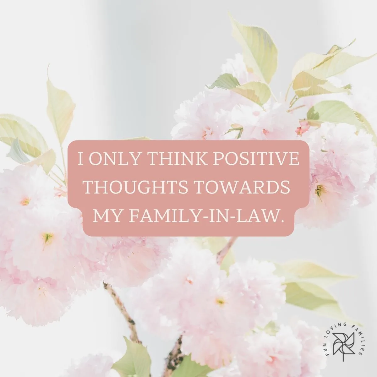 I only think positive thoughts towards my family-in-law affirmation