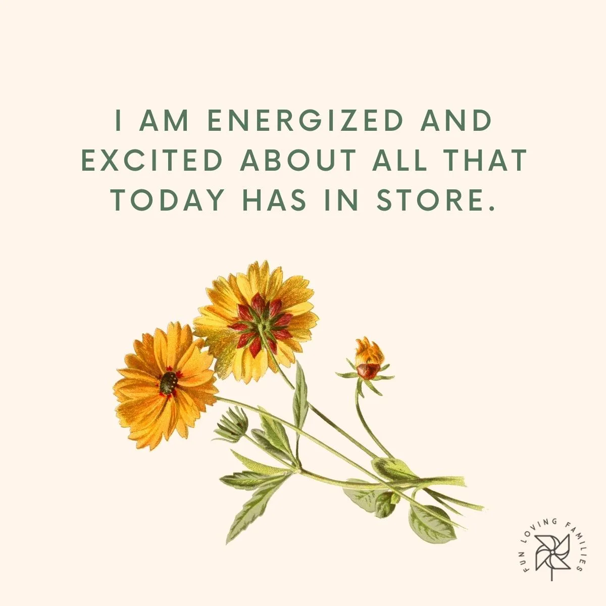 I am energized and excited about all that today has in store affirmation