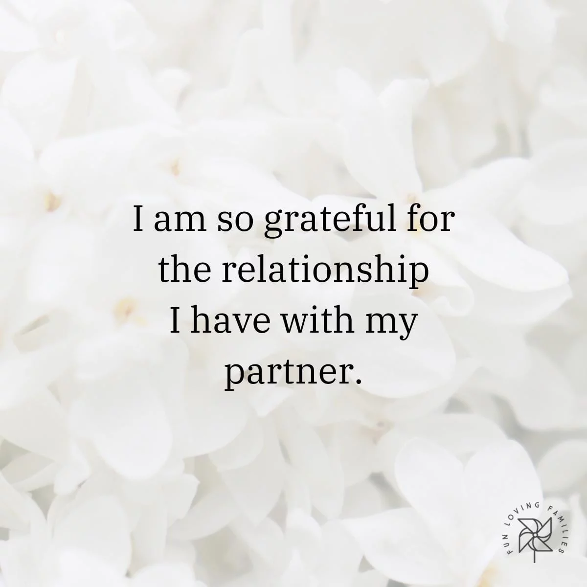 I am so grateful for the relationship I have with my partner affirmation
