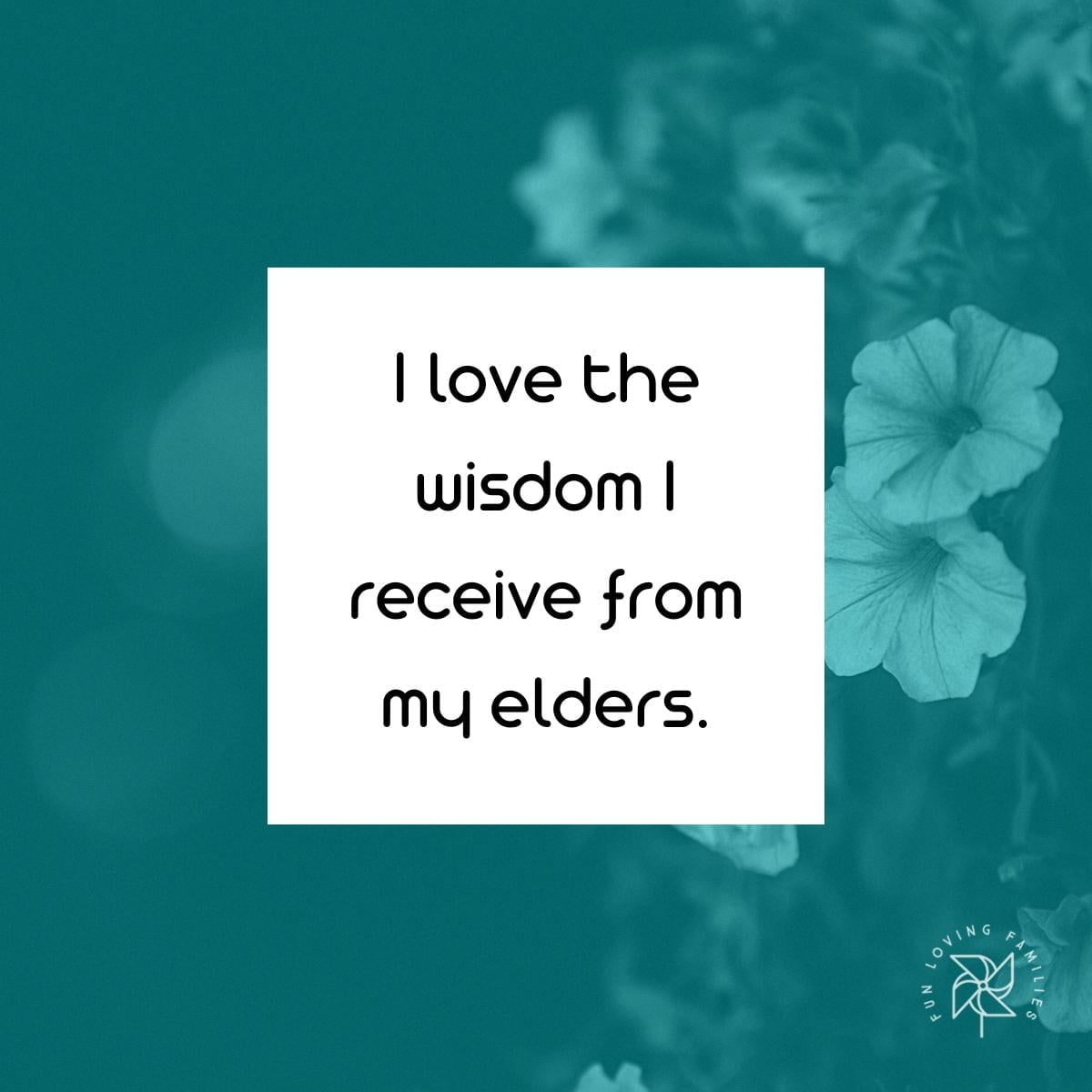 I love the wisdom I receive from my elders affirmation