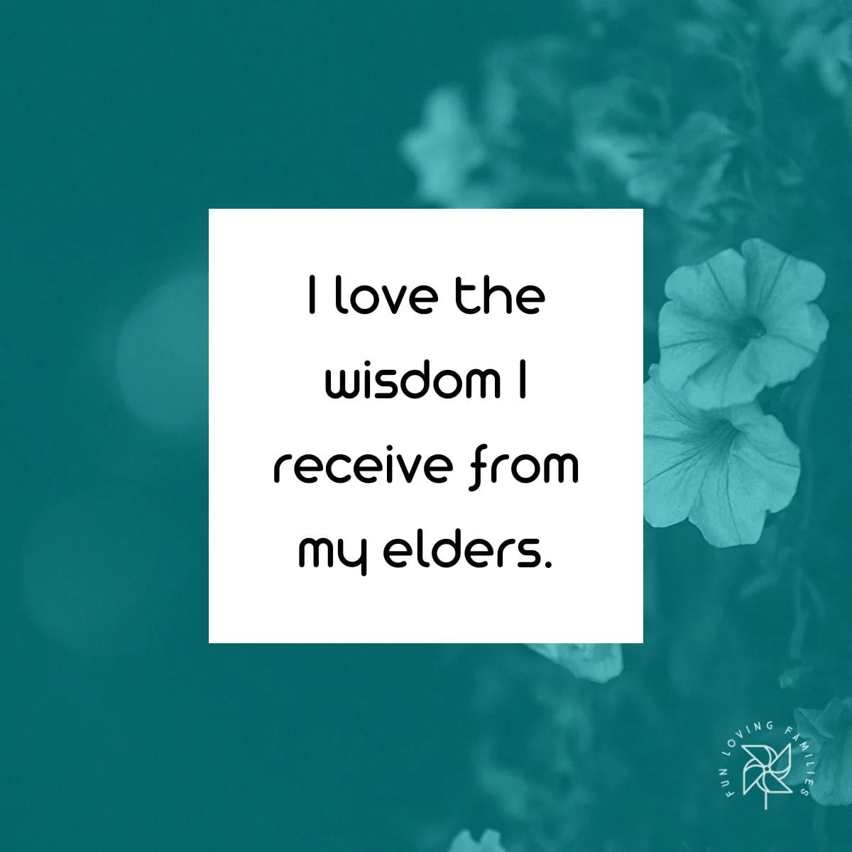 I love the wisdom I receive from my elders affirmation