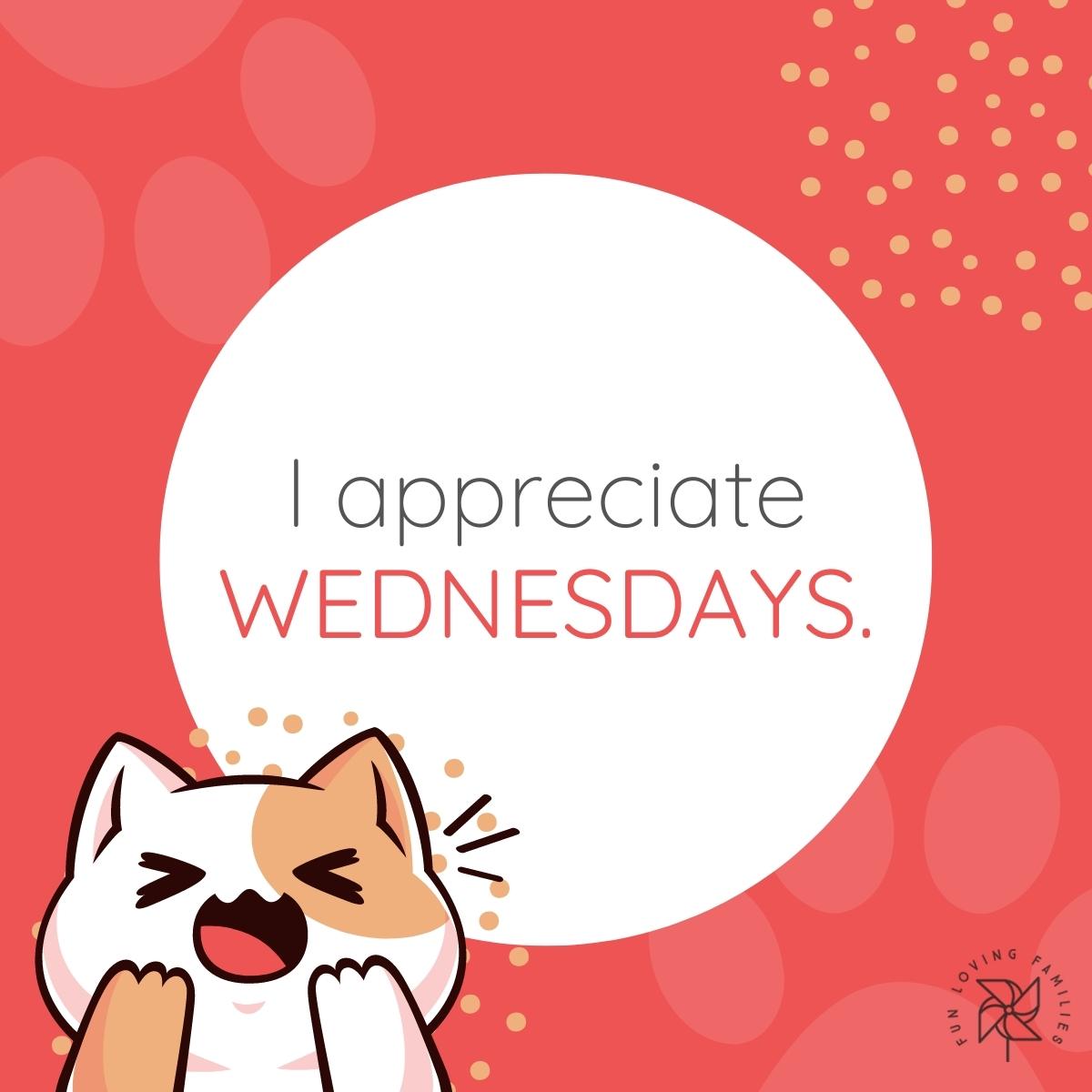 I appreciate Wednesdays affirmation image