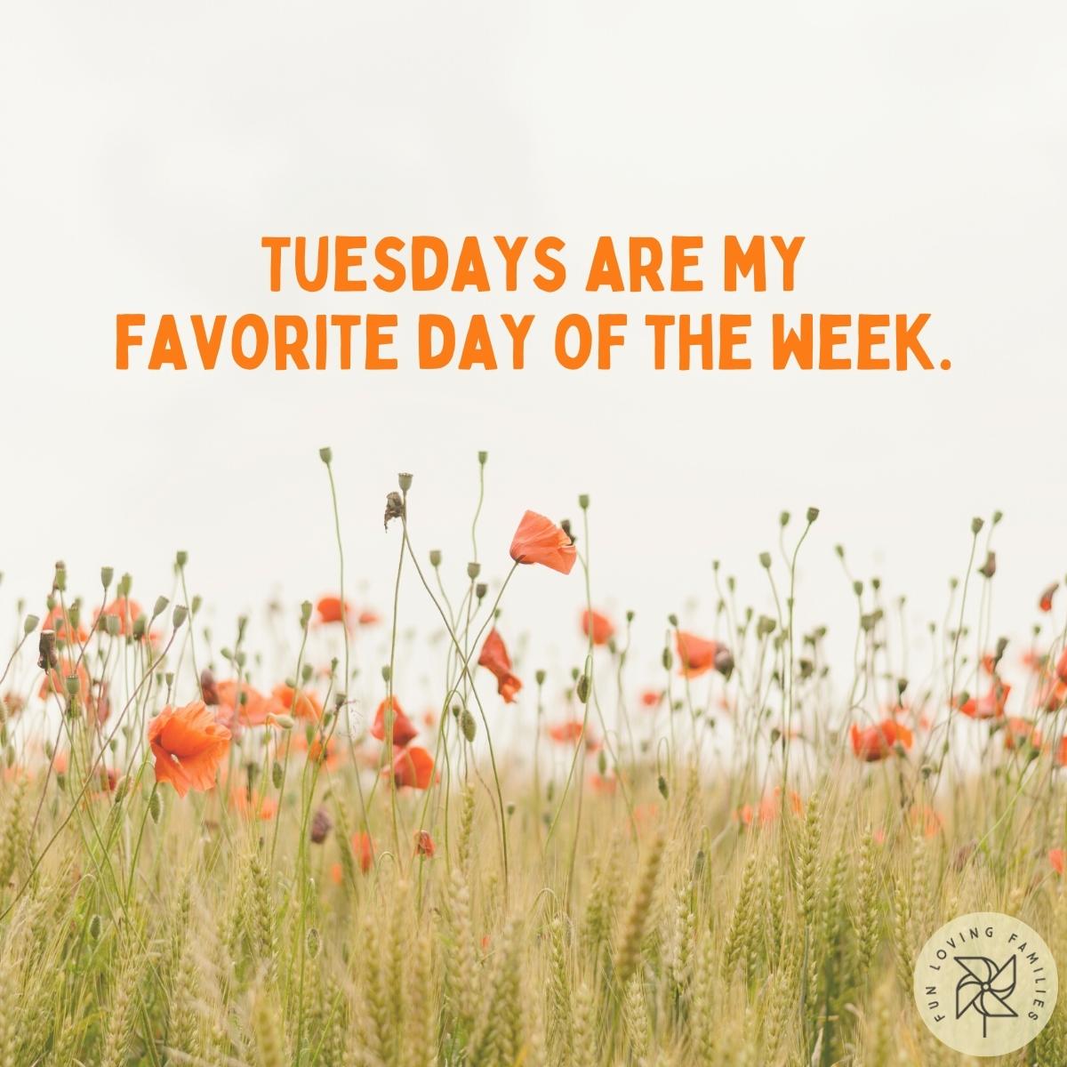 Tuesdays are my favorite day of the week affirmation image