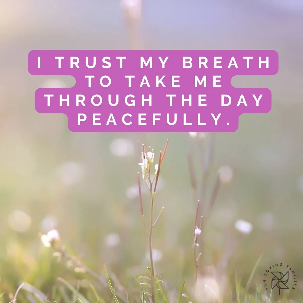 I trust my breath to take me through the day peacefully affirmation image