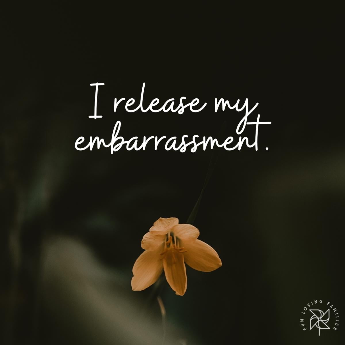 I release my embarrassment affirmation image