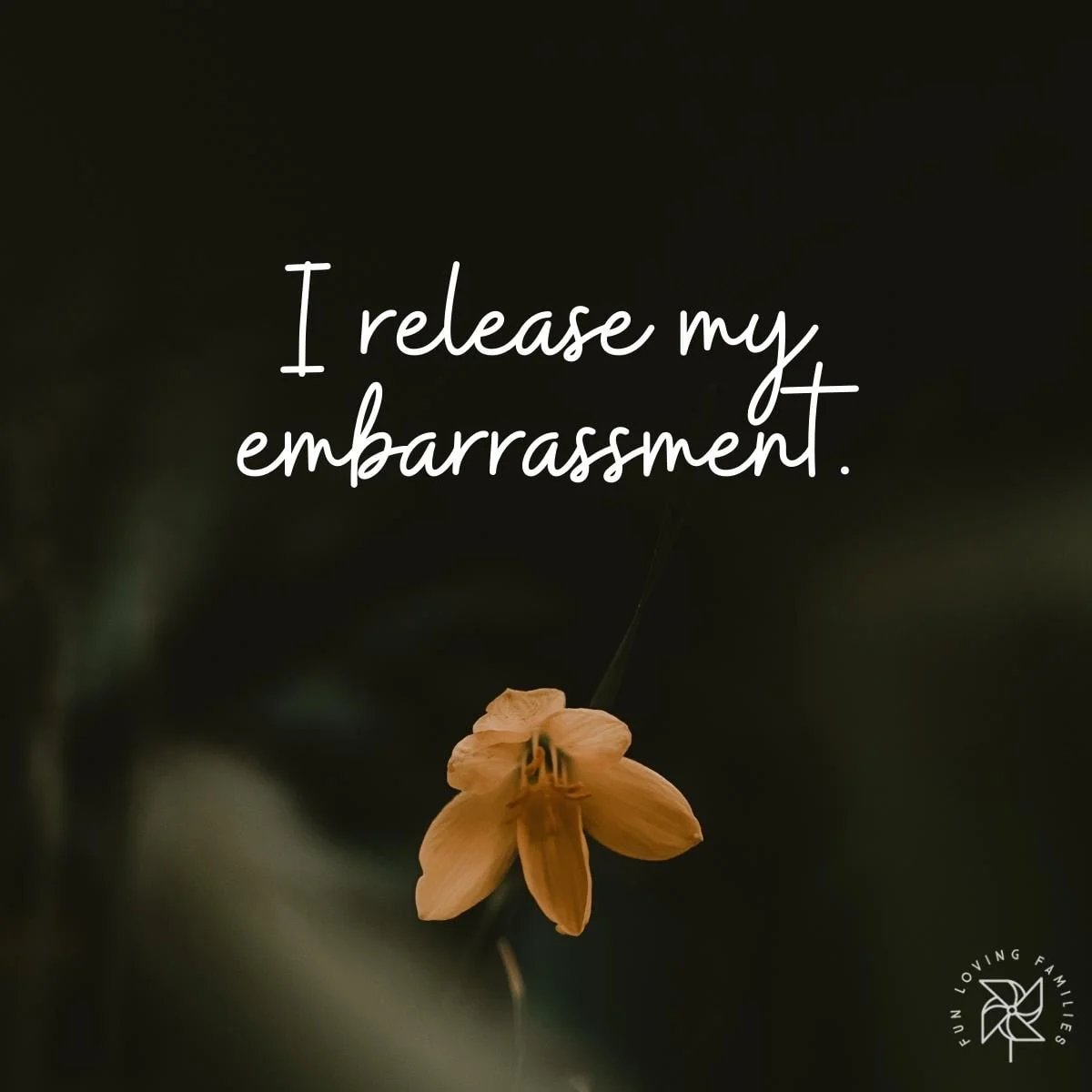 I release my embarrassment affirmation image