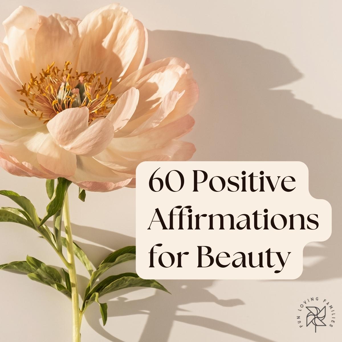 Positive Affirmations for Beauty