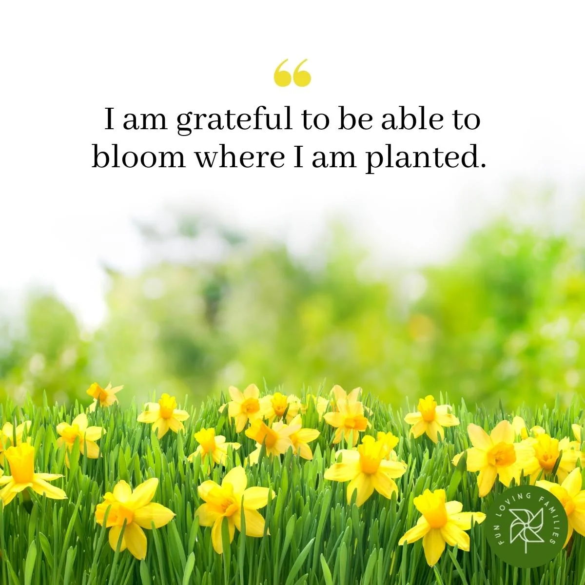 I am grateful to be able to bloom where I am planted affirmation