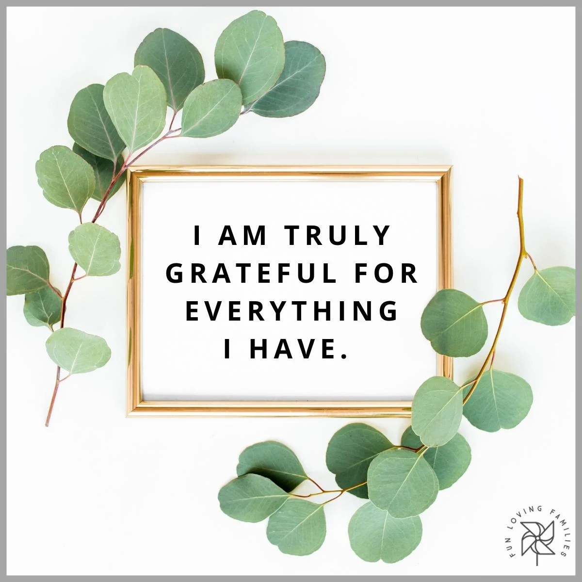 I am truly grateful for everything I have affirmation