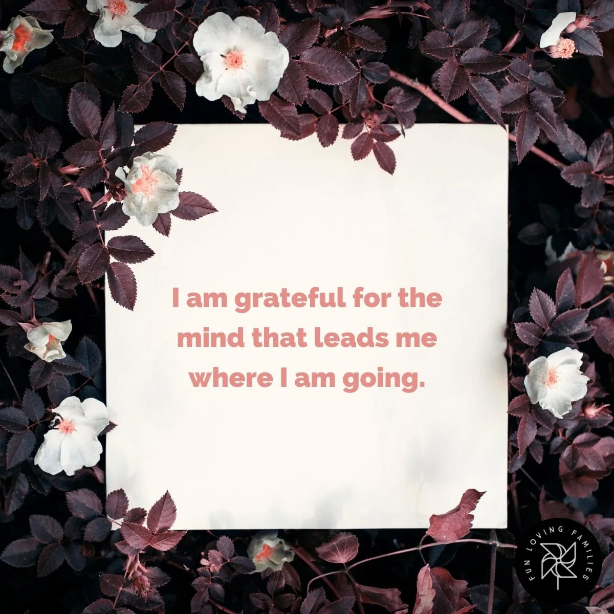 I am grateful for the mind that leads me where I am going affirmation