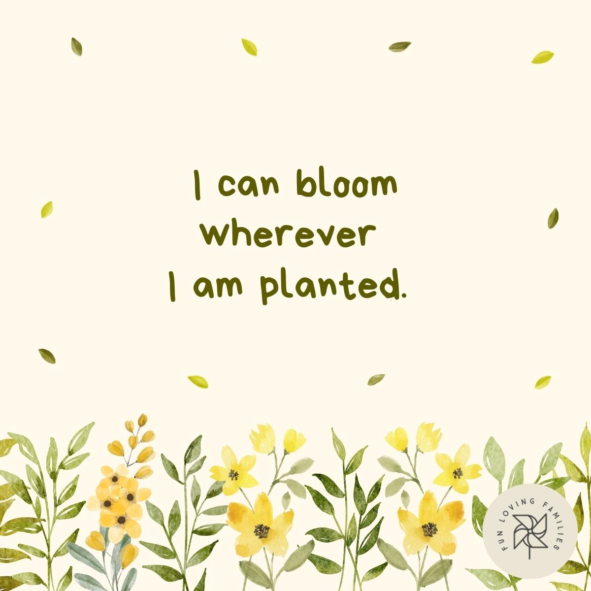 I can bloom wherever I am planted affirmation