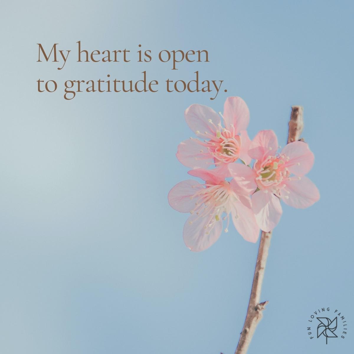 My heart is open to gratitude today affirmation
