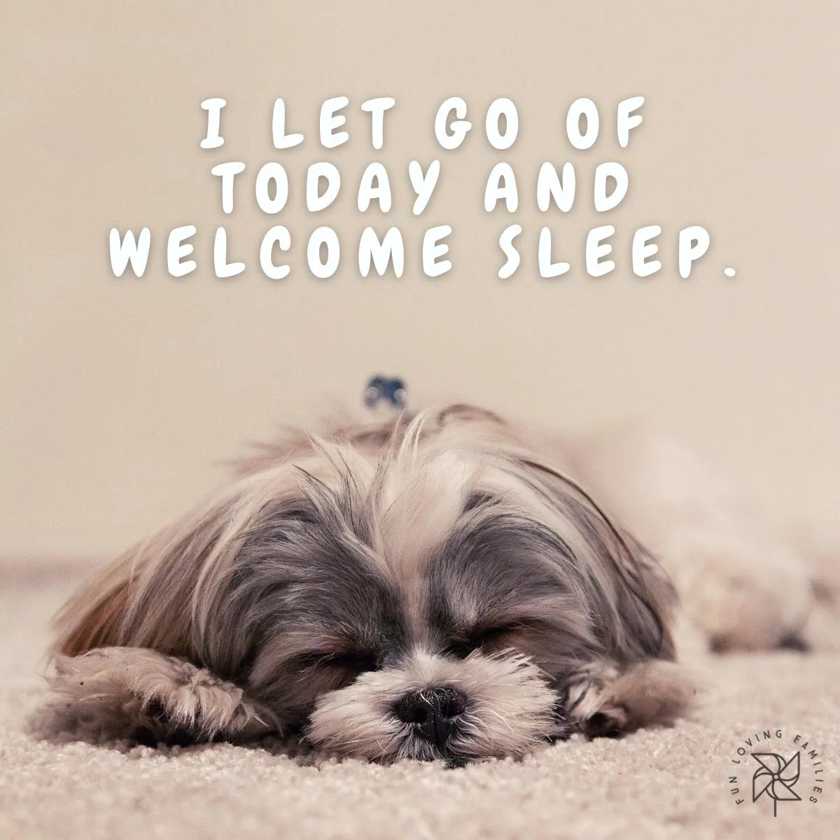 I let go of today and welcome sleep affirmation