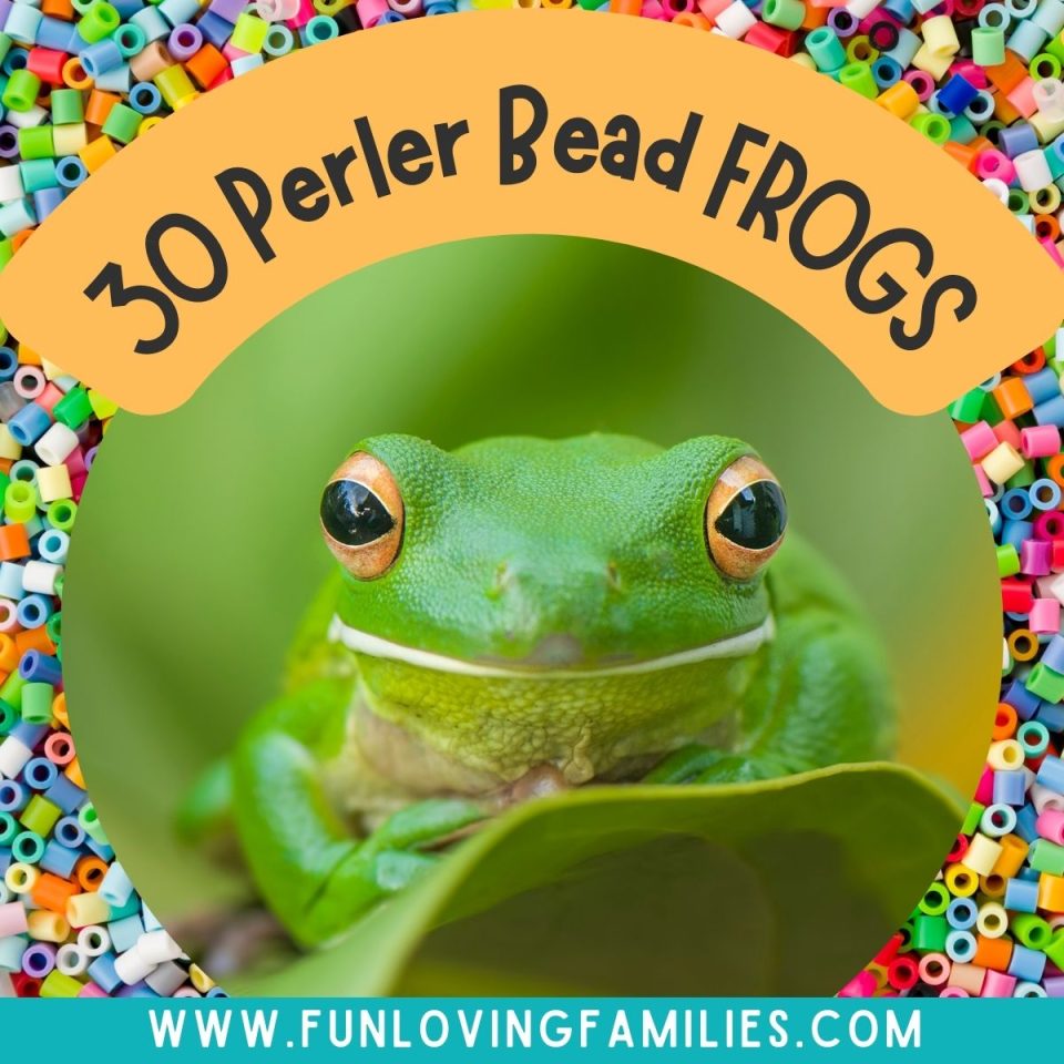 30 Best Frog Perler Bead Patterns, Designs and Ideas Fun Loving Families