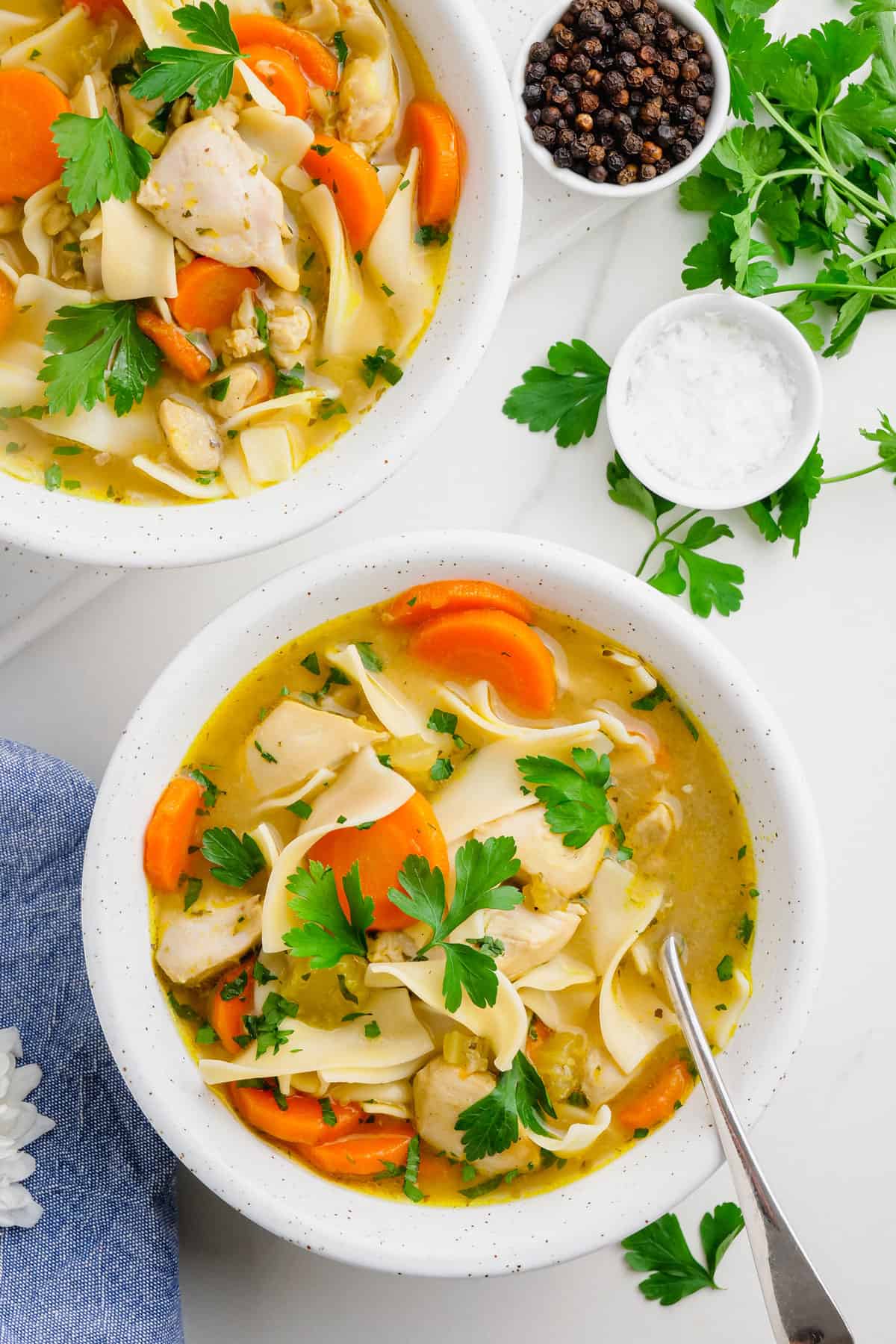 Instant Pot Chicken Noodle Soup