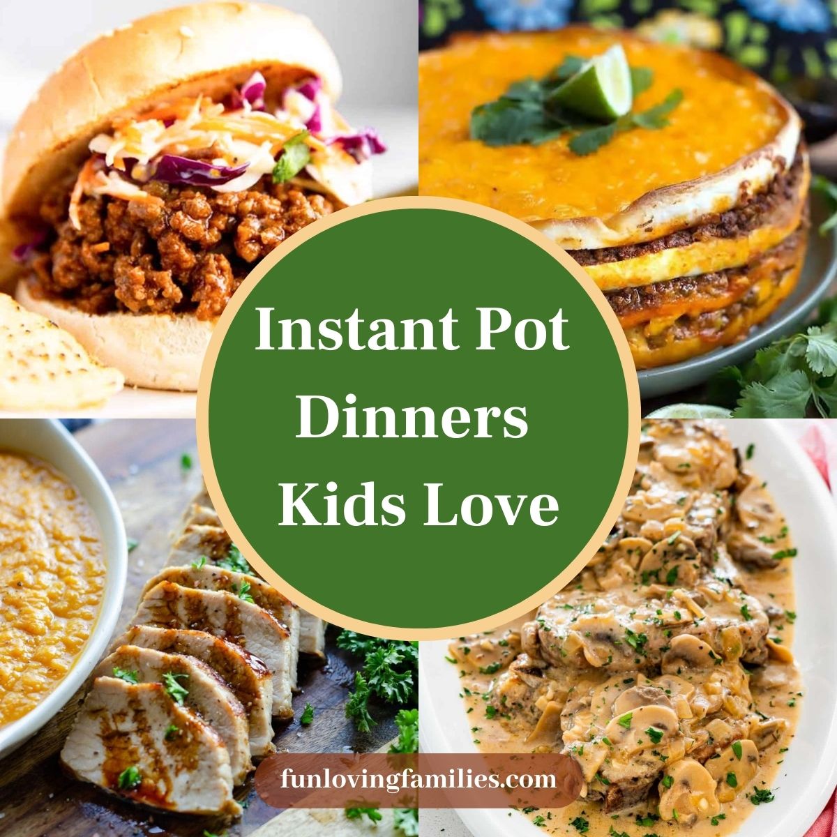 Kid Friendly Instant Pot Dinner Recipes