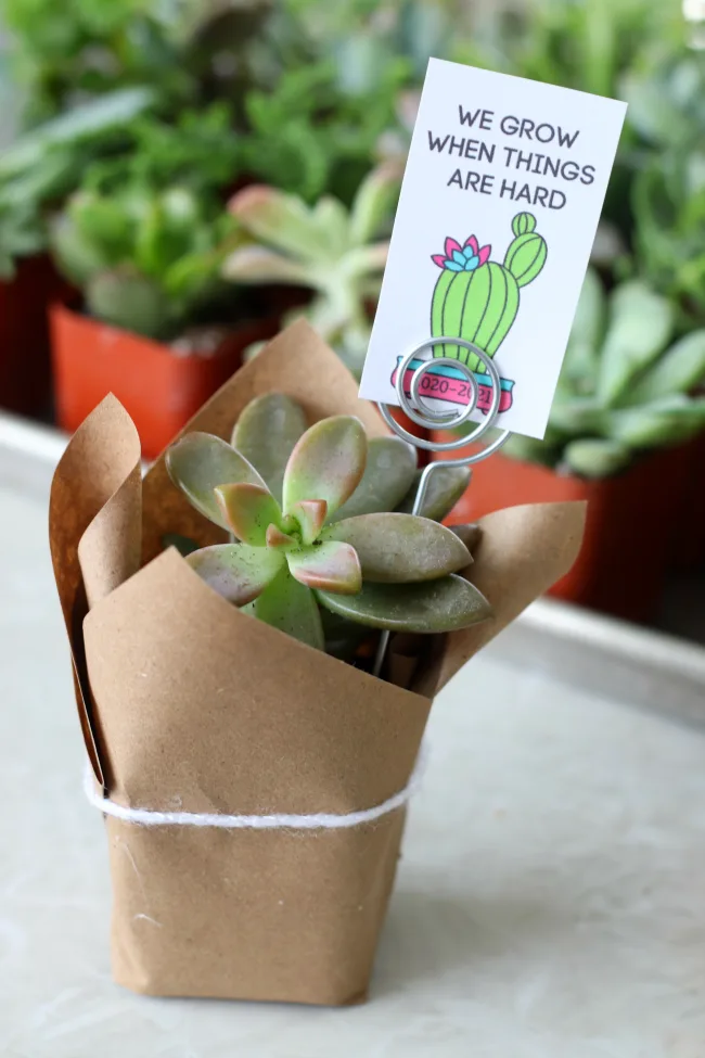 Succulent Gift: “We Grow When Things Are Hard” Printable