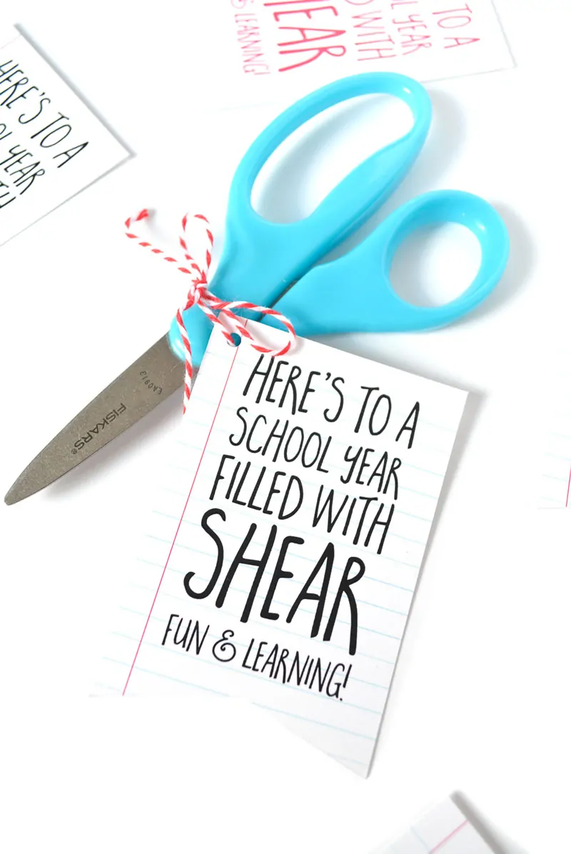 Quick Back To School Teacher's Gift She/He Will Actually Want