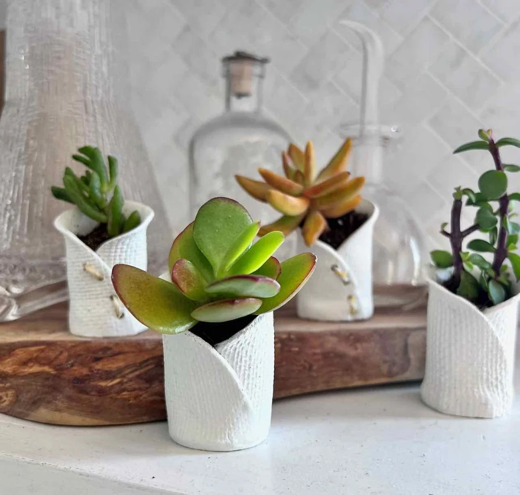 Tiny Air Dry Clay Pots for Succulents